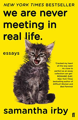 We are never meeting in real life.: essays