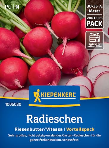 Kiepenkerl Radieschensamen Riesenbutter/Vitessa 100608