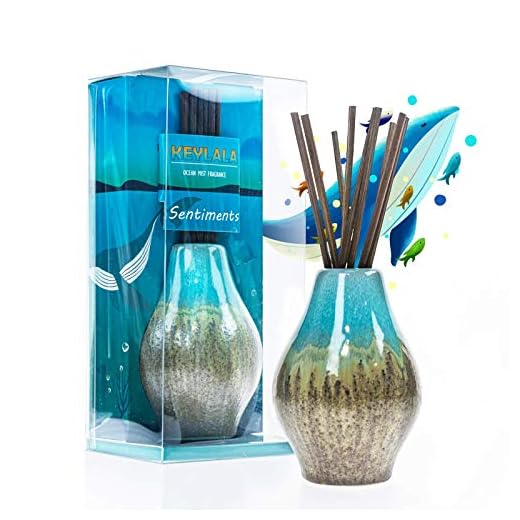 KeyLaLa Reed Diffuser for Home, Cute Home Fragrance Gift Set Ocean Mist Scent Aromatherapy Oil Refill for Home/Bathroom/Kitchen/Office Elegant Decorations -1.7 fl oz Essential Oil Diffuser…