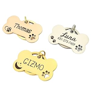 Luigi Dog Name Tag, Bone Shape Dog Tag Personalized for Pets, Engraved Dog Tag, Personalized Dog Tag, New Puppy Gifts, Rose Gold Black Silver Dog Tag (Large, Silver)