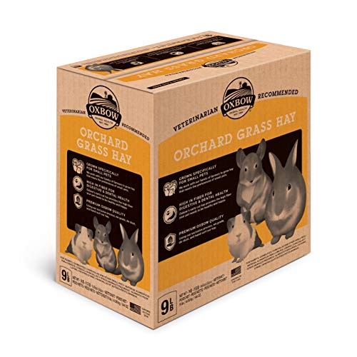 Petlife Oxbow Orchard Grass Hay for Small Pet, 4.05 Kg