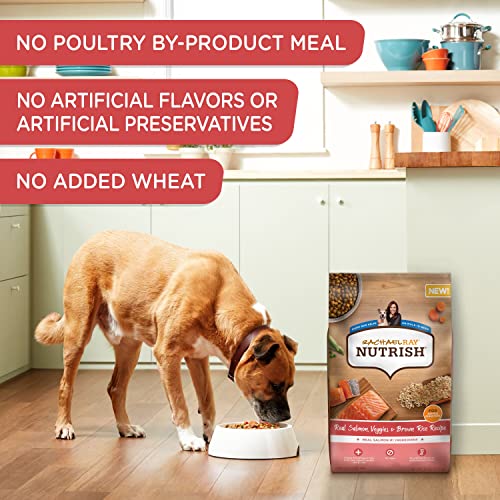 Rachael Ray Nutrish Salmon Dry Dog Food, 26 Pound Bag #TOP5