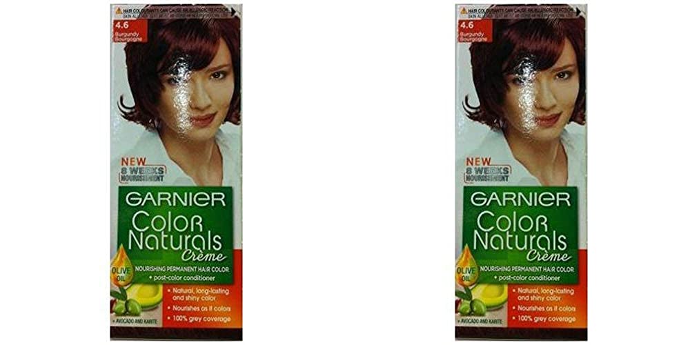 GarnierColor Naturals 4.6 burgundy Haircolor