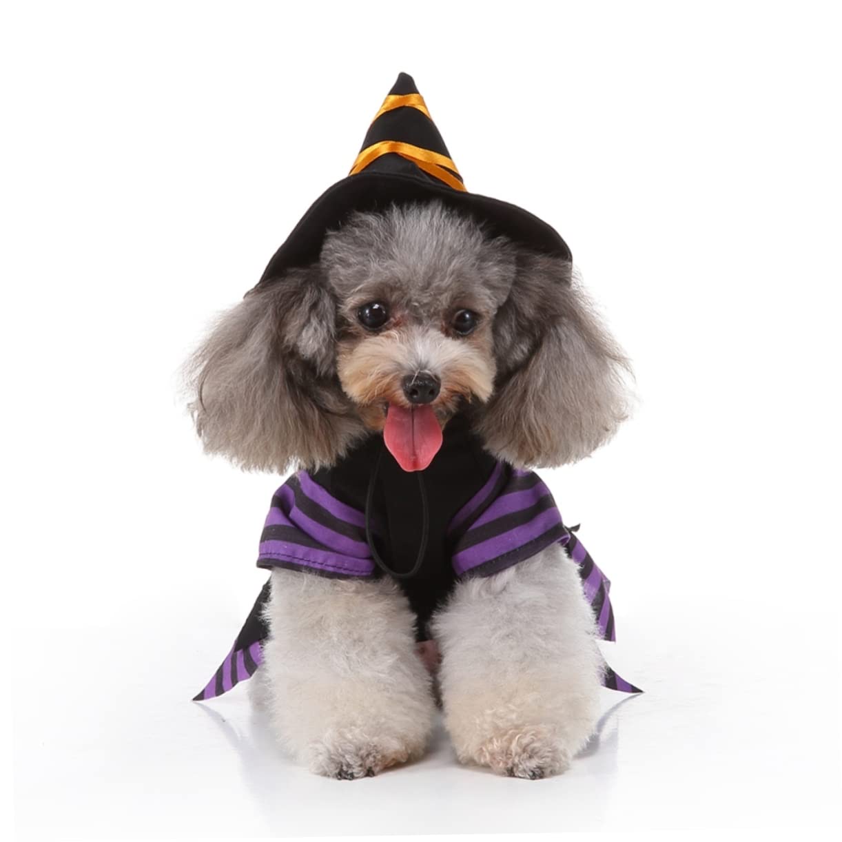 Didiseaon 2 Pz Cappotto Per Animali Domestici Di Halloween Vestiti Per Animali Domestici Cappello Da Cane Simpatica Felpa Con Cappuccio Per Cani Animale Domestico Forniture