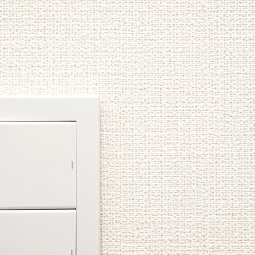 ǎ{ ǎ ̂t D x[W TQc NX SP2526 SP9759 ؂蔄 mP y󒍐YiLZsz