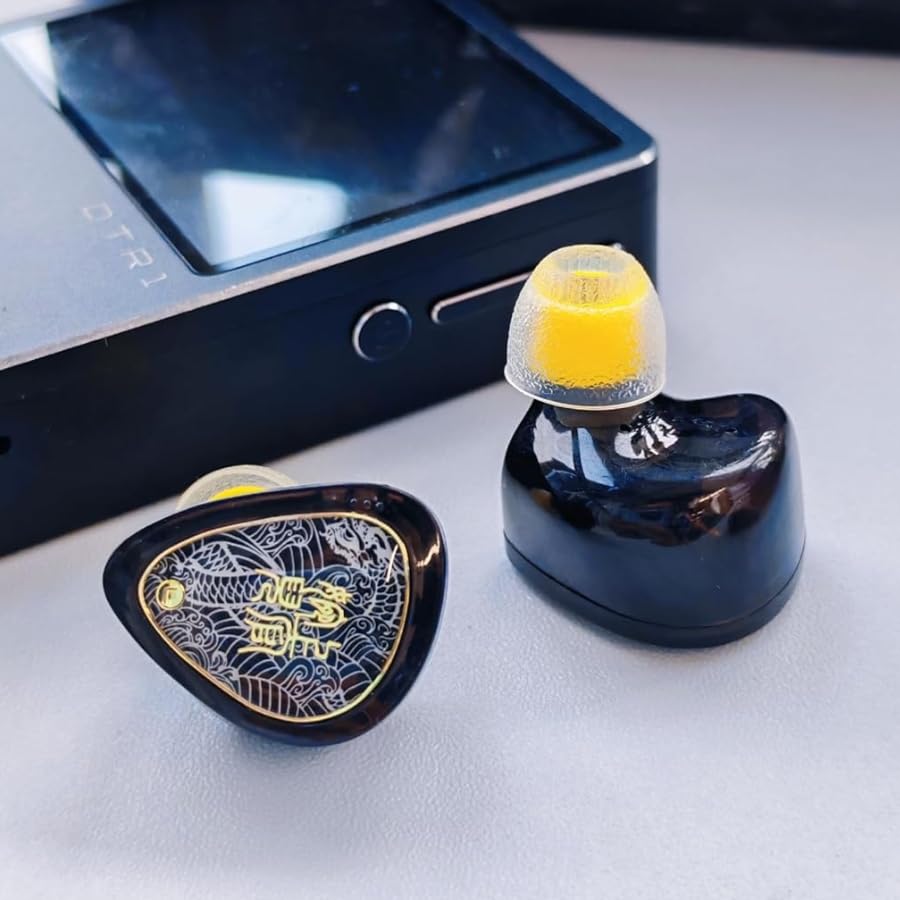 Image of TANGZU Wan'er S.G II in Ear Monitor, Gaming IEM Earphones, HiFi Wired Earphones with 10mm Single Dynamic Driver PET Diaphragm, 0.78mm 2-Pin Tangle-Free Detachable Cable (Black, Type C with Mic)