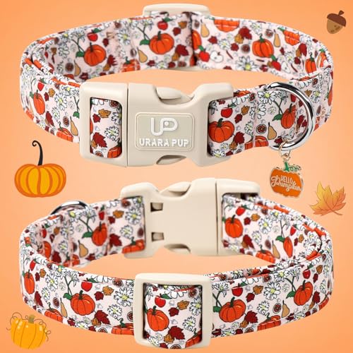 Image of Fall Dog Collar - Halloween Dog Collars-Adjustable Pumpkin & Daisy Floral Collar with Quick Release, Autumn Harvest Dogs Collars