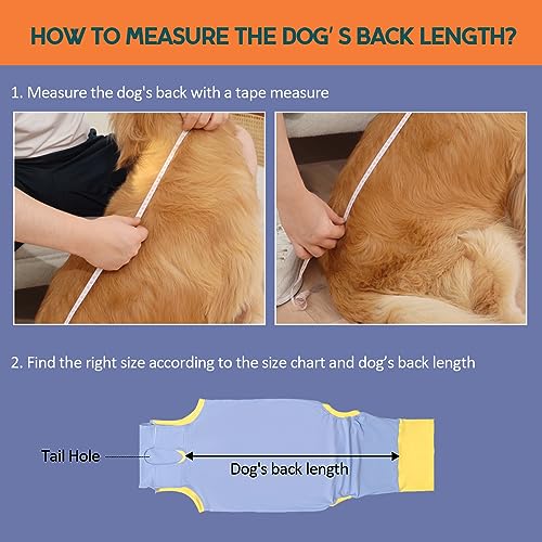 Avont Dog Surgery Recovery Suit, Post-Spay/Neuter Onesie for Female/Male Puppies, Breathable Bodysuit Surgical Shirt E-Collar & Cone Alternative, Anti-Licking Protection for Wounds -Blue (S) - Thumbnail 2