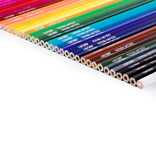 Crayon de couleur bois hexagonal 36 couleurs dessin enfant