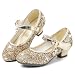 Imagen de Cheerful Mario 5-10 Año Zapatos Princesa Niñas Brillante de Vestir Bailarinas de Tacones para Fiestas Cumpleaños y Cosplay Oro 29 EU