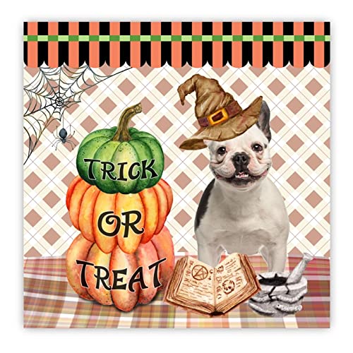 Décoration murale Halloween citrouille et Doberman pour cuisine