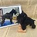 Custom Pets Portrait for Pets Lovers, 3D Custom Needle Felted Dog Cat Replica, Handmade Cat Dog Memorial Loss Gift (Full Body)