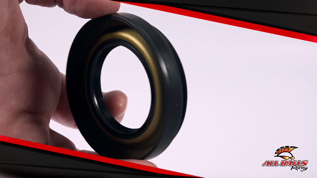Amazon.com: All Balls Racing Brake Drum Seal 30-20301 Compatible