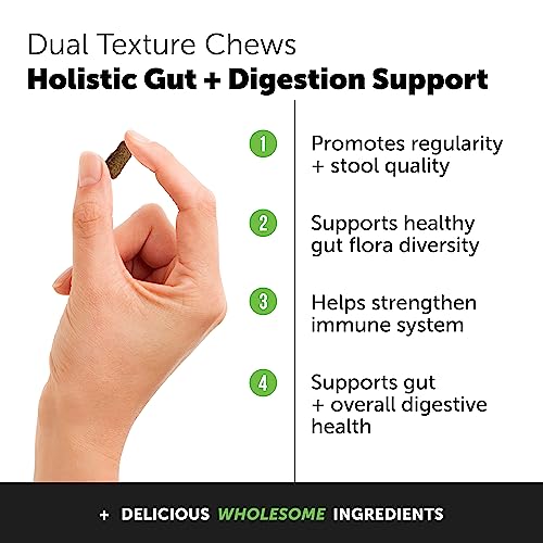 Pet Honesty Cat Probiotics Gut + Immune Health Chews - Cat Digestive Health, Cat Vitamins Supports Gut Health, Immunity Health, Healthy Digestion + Cat Constipation Relief - Chicken (30-Day Supply) - Image 3