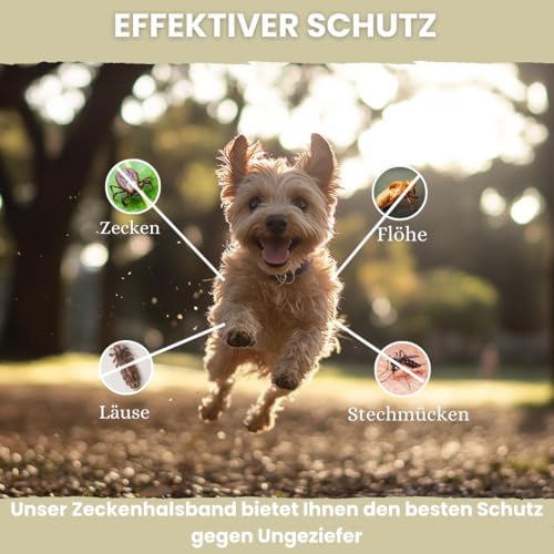 Animalea® [2 Stück] Zeckenhalsband für kleine Hunde - verbesserte Formel mit Schwarzkümmelöl - 100% Natürlich - bis zu 8 Monate wirksamer Schutz gegen Zecken Flöhe Läuse Ungeziefer