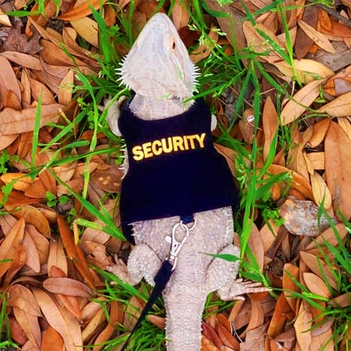 Image of DONGKER Bearded Dragon Harness and Leash Set,Self-Adhesive Adjustable Lizard Reptiles Harness with 4.8ft Nylon Leash for Walking Outdoor Halloween