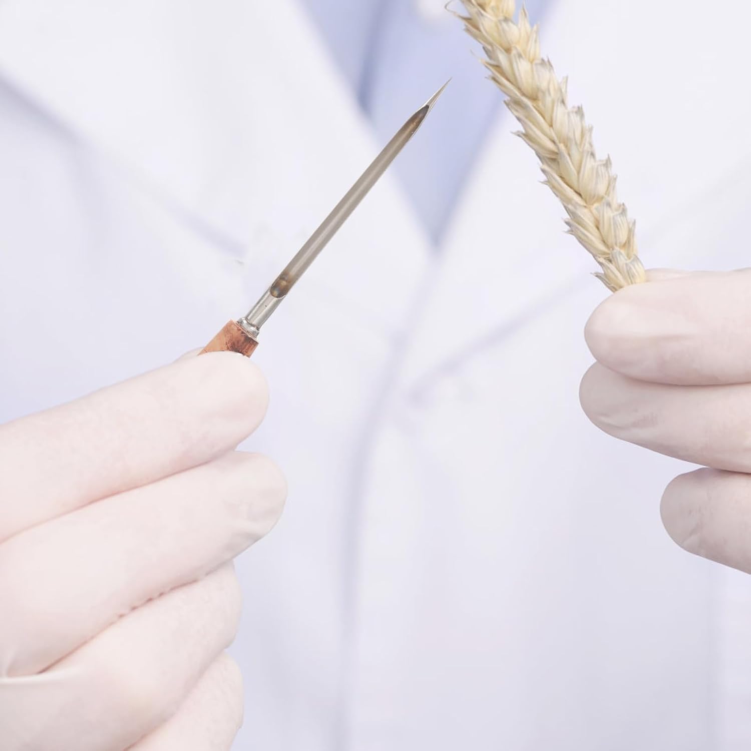 Stainless Steel Grain Probe Sampler with Wooden Handle 25cm Length 1.2cm Width for Corn Wheat Rice Powder Sampling Agriculture Lab Use