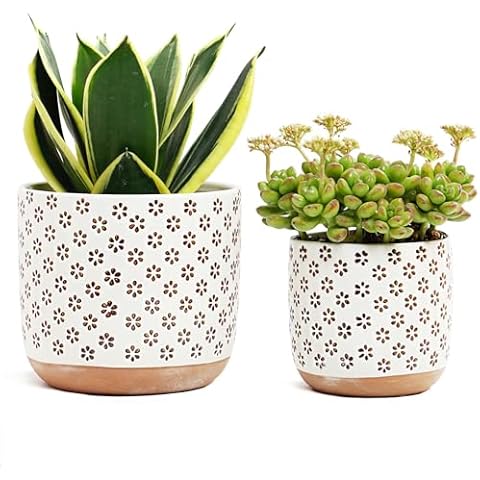Homephyte Ceramic Pots for Indoor-Outdoor Plants Cover