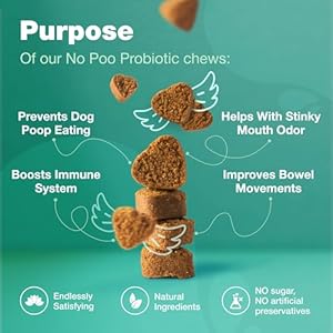 Probiotics-for-Dogs-Support-Gut-Health-Immunity-Yeast-Balance-Itchy-Skin-Allergies-Dog-Probiotics-and-Digestive-Enzymes-for-Small-Medium-and-Large-Dogs-Probiotic-Chews-for-Dogs-Duck - Cucciolini Doodles   Probiotics-for-Dogs-Support-Gut-Health-Immunity-Yeast-Balance-Itchy-Skin-Allergies-Dog-Probiotics-and-Digestive-Enzymes-for-Small-Medium-and-Large-Dogs-Probiotic-Chews-for-Dogs-Duck