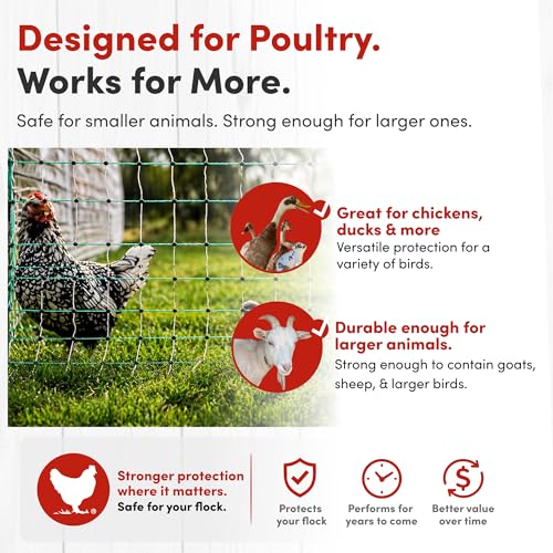 RentACoop Poultry Netting Electric Fence - 48" H x 168' L - Electric Poultry Enclosure for Chickens, Ducks, Turkeys - Suitable for 4-Week-Old Chickens/Older and Adult Poultry - Energizer Not Included by RentACoop - Image 5