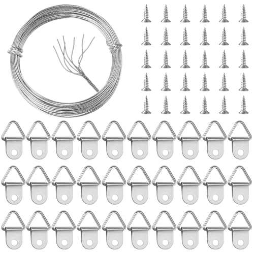 LLMSIX 32.8 Feet/10m Picture Hanging Wire Kit, Stainless Steel Hanging Picture Hooks and Wire Set with 30 D Ring Hangers 30 Screws for Photo Frames Mirror Wall Art