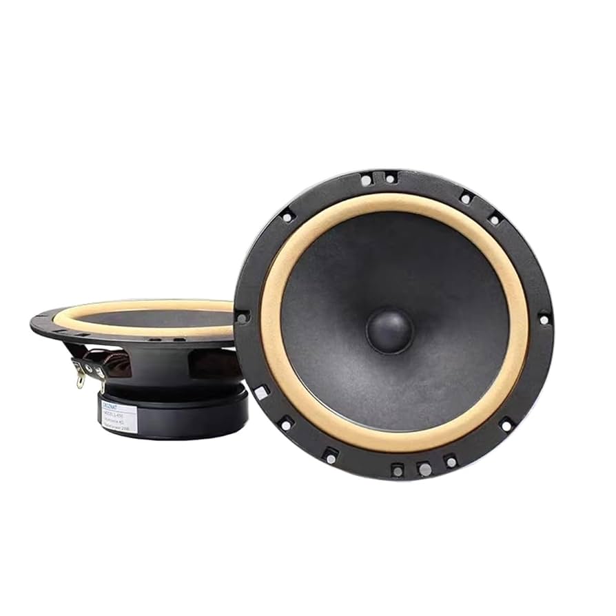 6.5インチ コンパクトシールドスピーカー 6.5インチ コンパクトシールドスピーカー Amazon.co.jp: レイン