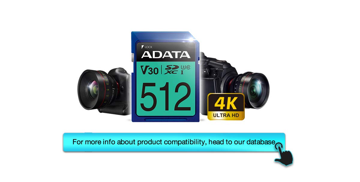 ADATA ASDX128GUI3V30S-R Memoria Flash 128 GB SDXC Clase 10 UHS-I - Tarjeta de Memoria (128 GB, SDXC, Clase 10, UHS-I, 100 MB/s, Negro, Azul)