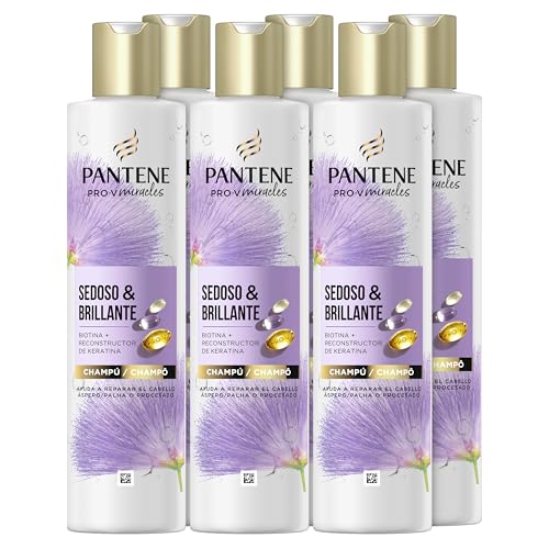 Pantene Pro-V Miracles Sedoso Y Brillante Champú Reparador con Biotina y Keratina 250ml x6 Repara el Pelo Seco, Dañado, Tratado o con Mechas. Actúa como Hidratante Capilar
