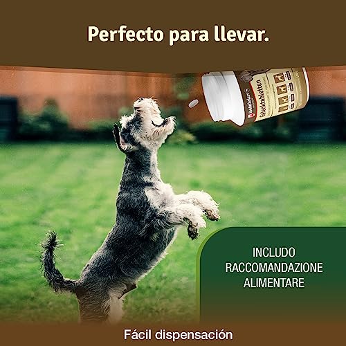 Veddelholzer Dog Joint Supplement Tablets – Hip & Joint Support with Glucosamine, Chondroitin, MSM & Turmeric – Mobility, Flexibility & Comfort Aid for Large & Small Breeds – Vet Recommended - Image 3