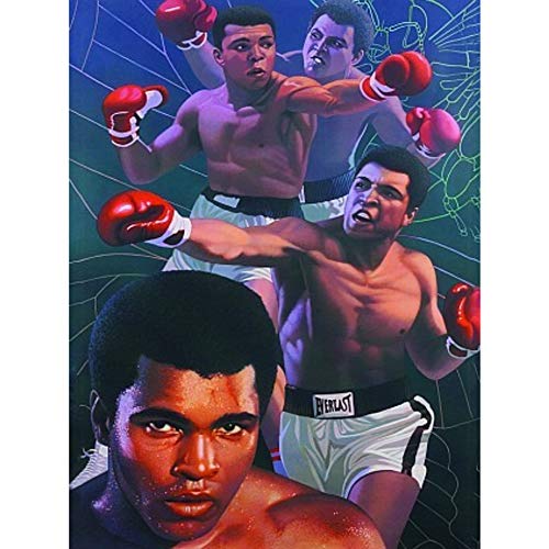 Best Boxing Pictures