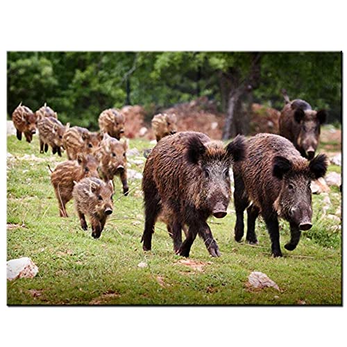 DIY 5D Diamond Painting Full Kits Sanglier 30x40cm 12x16inch Photo Full Strass Cristal Diamant Peinture Point de Croix Broderie Toile Art Murale Décoration et Cadeau