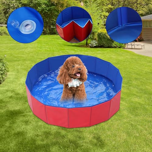 LUFEIS Hundepool, 60x20 cm Hundepool Schwimmbad, Hundebecken Faltbar mit Ablassventil, Planschbecken Rutschfest, Swimmingpool für Hunde, Faltbarer Pool, Hundepools Schwimmbecken für Kleine Hunde Katze