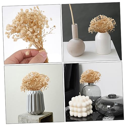 Ramo Seco de Flores Luz de Bebé Beige para Decoración miniatura 4