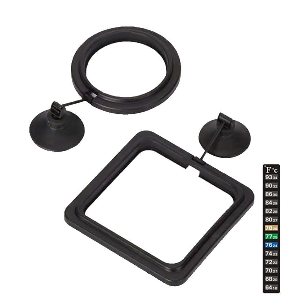 Dbeans Flourithing 2Pcs Feeding Fish Ring Set, Automatic Fish Feeder,Fish Food Feeder +Thermometer Strip,Betta Fish Accessories, For Betta, Guppy, Goldfish Etc