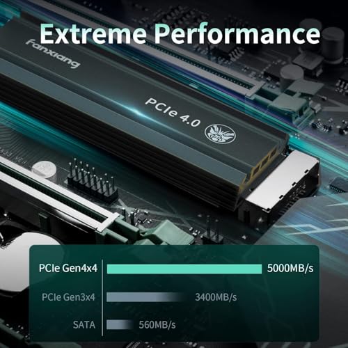 View 3