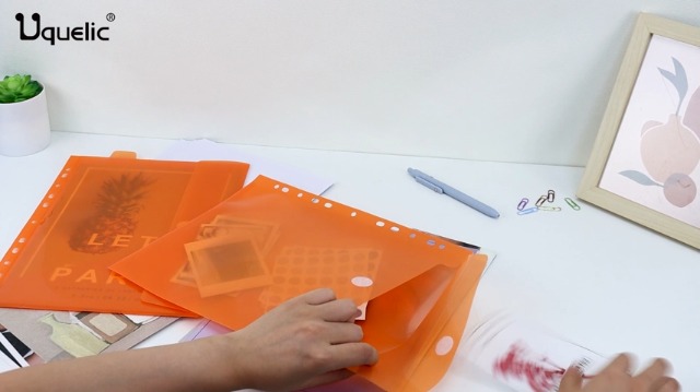 Cartelline Portadocumenti A4 In Plastica - Set 12 Pezzi Multicolore Per Ufficio - Foto 9