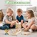 Zeewoo Montessori Toys for 3 Year Old Fine Motor Skills Toys for 5 Year Old Wooden Board Game - Educational Toys with Colorful Sticks, Dice & Stones, Family Game Gifts for Age 4 5 6 7 8 Boys Girls