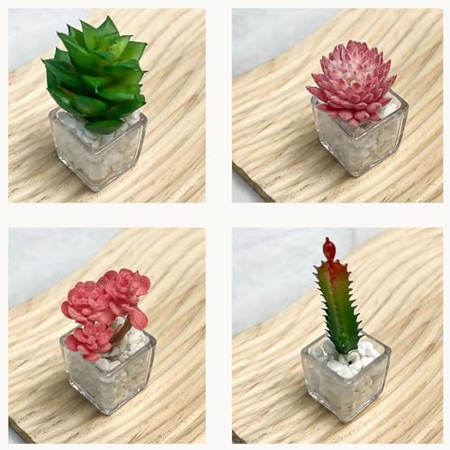 Imanes Decorativos de Plantas Suculentas MIUPOO Set de 4 miniatura 4