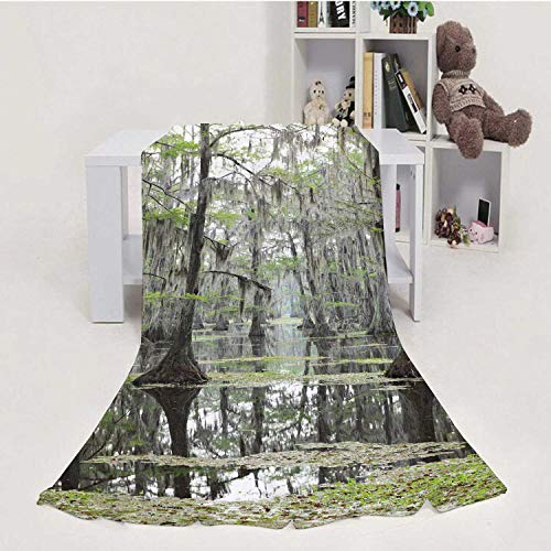 C COABALLA Cypress Swamp iana,Soft Luxuries Throw Blanket Microfiber Soft Throw Cypress Tree 60''Ã—80''(WxL)