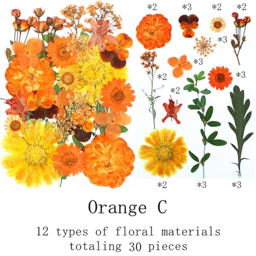 30 Flores Naranjas Secas Prensadas para Manualidades miniatura 2