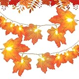 Beleuchtung der Ahornblätter – 40 Herbstlichter, LED, Herbstblätter, Herbstdekoration, Herbstdekoration, für den Herbst | Ahornblatt Garland Fall beleuchtet,