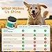 Dog Teeth Cleaning Powder - Dog Breath Freshener + Dental Care for Doggies & Cats + Tartar Remover for Teeth with Natural Ingredients + Probiotics Blend (Mint - 200g)