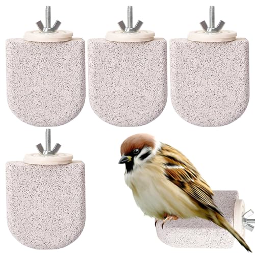 ̎~܂ - 4Zbg ΎR  ̒܌ XeBbN,܌ IE RV[ IJCR uo[hp | ^ ybgg[jO OV