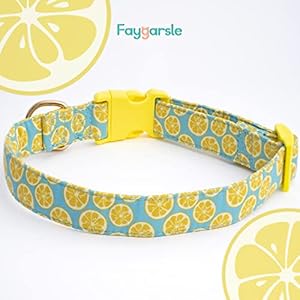 Faygarsle Cute Dog Collar for Girls Boy Dogs Soft Fancy Pet Collar with Lemon Design Ideal Yellow Green Summer Dog Collar for Small Medium Large Dogs M