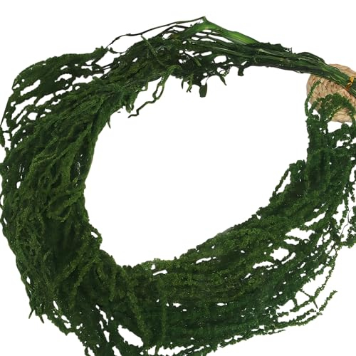 Flores Artificiales Secas Colgantes Amaranthus Pack 5 Piezas miniatura 1