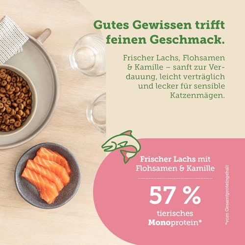 MERA Cats Nature Sensitive Lachs Katzenfutter Trocken 400g | Mono-Protein, getreidefrei & zuckerfrei | Katzen Trockenfutter hoher Fleischanteil & leicht verdaulich