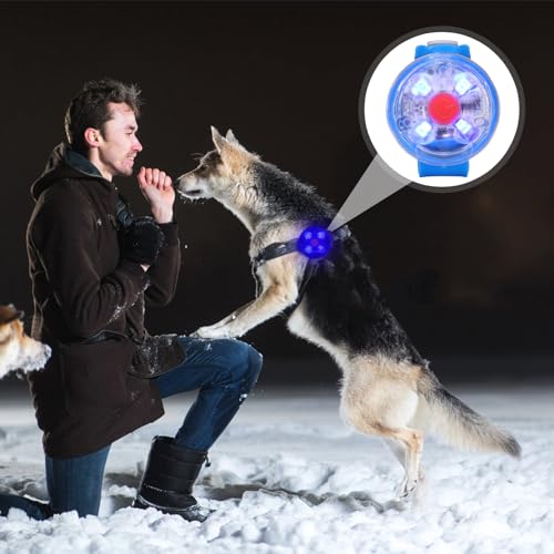 2 Stück Sicherheit Haustier Lichter, USB Wiederaufladbar LED Licht Leuchtanhänger Hund, 3 Blinkmodis Wasserdichte Blinklicht Hund für Hunde, Katzen（blau+weiß）