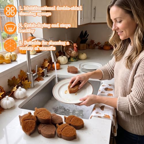 Image of Tioncy 12 Pack Acorn Kitchen Sponges Bulk Dual Sided Scrubber Brown Acorn Sponges Reuseble Non Scratch Dishwashing Kitchen Cleaning Accessories for Pot Boiler Pan Household