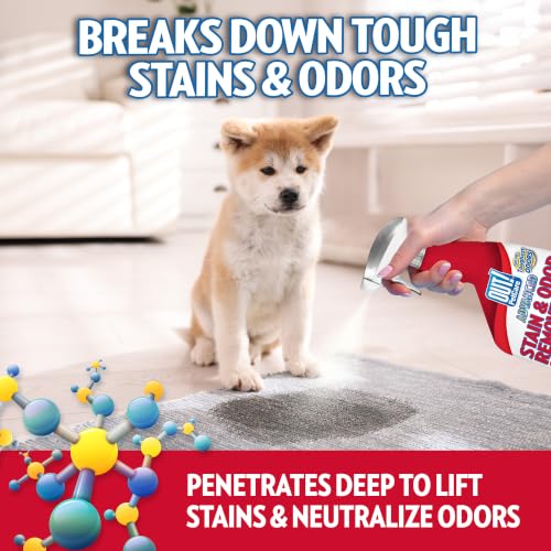 Image of OUT! PetCare Pet Stain & Odor Remover, Carpet Cleaner, 32oz (2 Pack) | Dog Stain & Odor Remover, Pet Odor Eliminator, Floor Cleaner, Dogs & Cats, Carpet Cleaner, Cat Stain Remover, Made in USA
