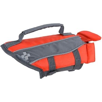 best kid friendly dog breeds